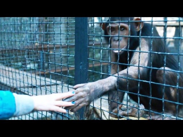 Кадр из фильма 