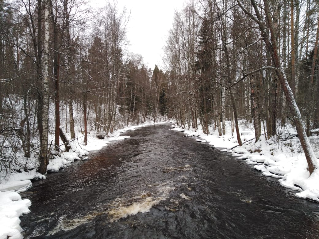 Река Волчья