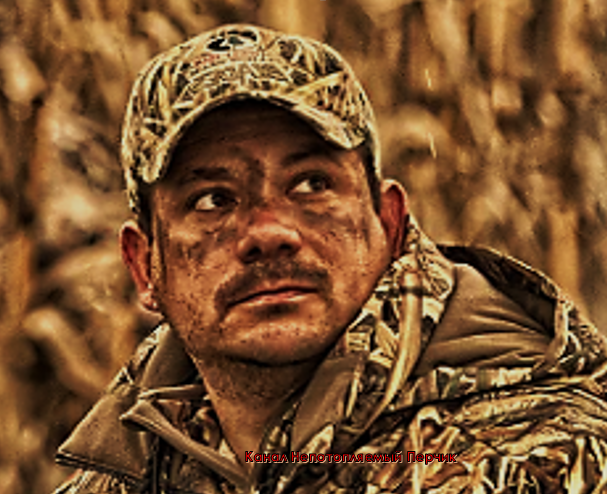 Картинка для обложки.