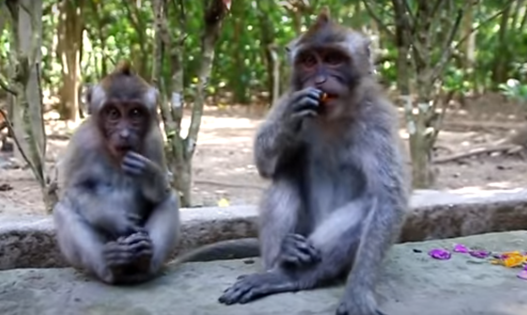 Подпишитесь на канал и поставьте лайк!