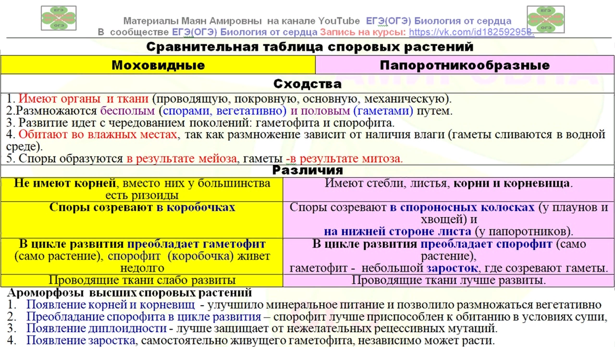 Мох – древнейший обитатель Земли