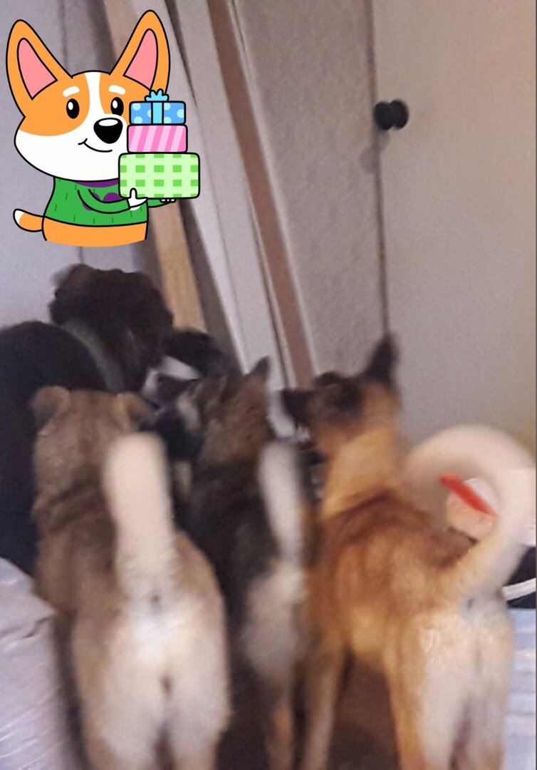 -2-3