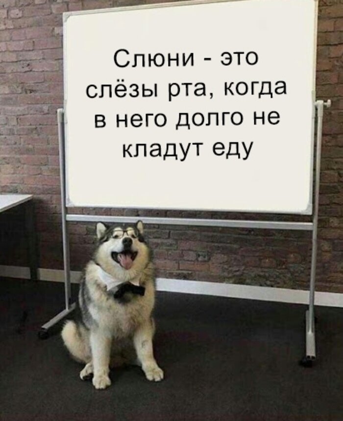 Фото из интернета. 