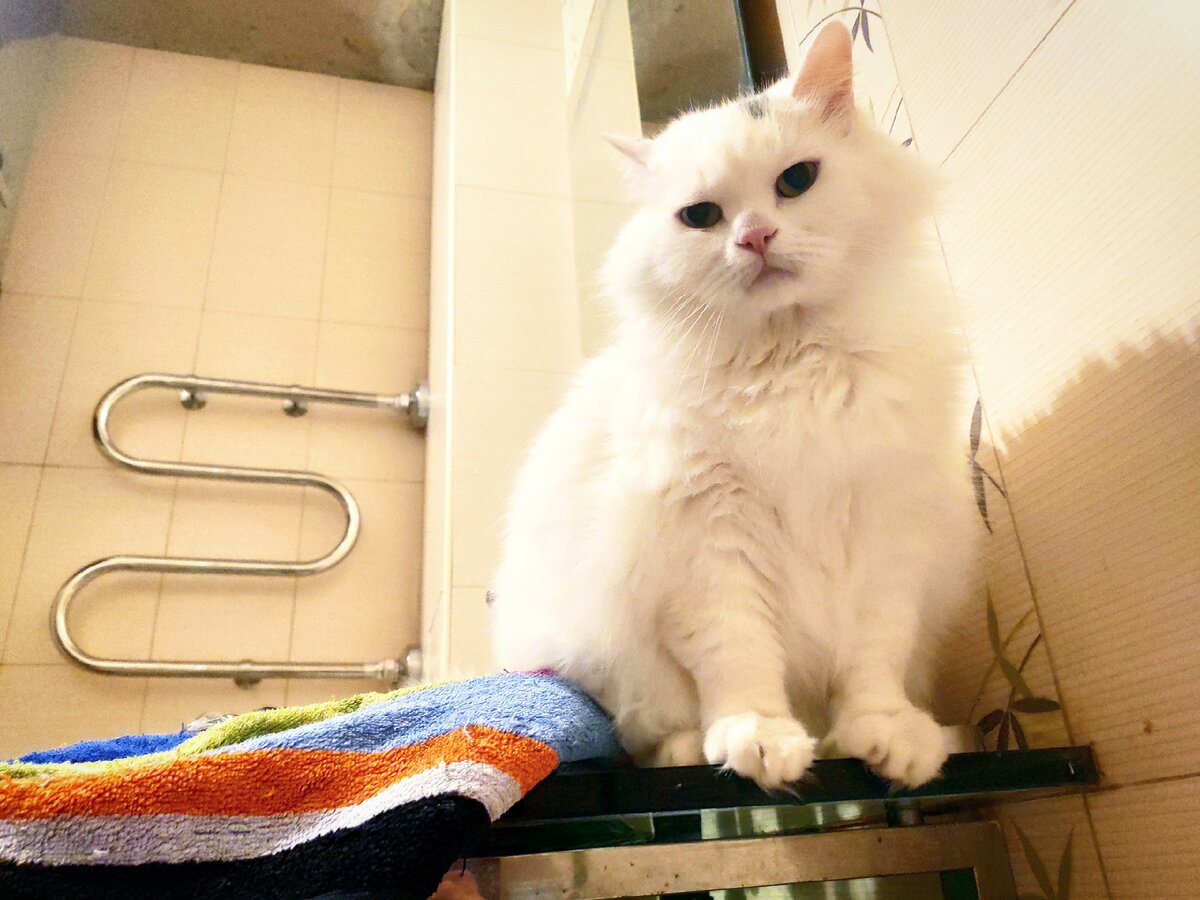 Фото автора