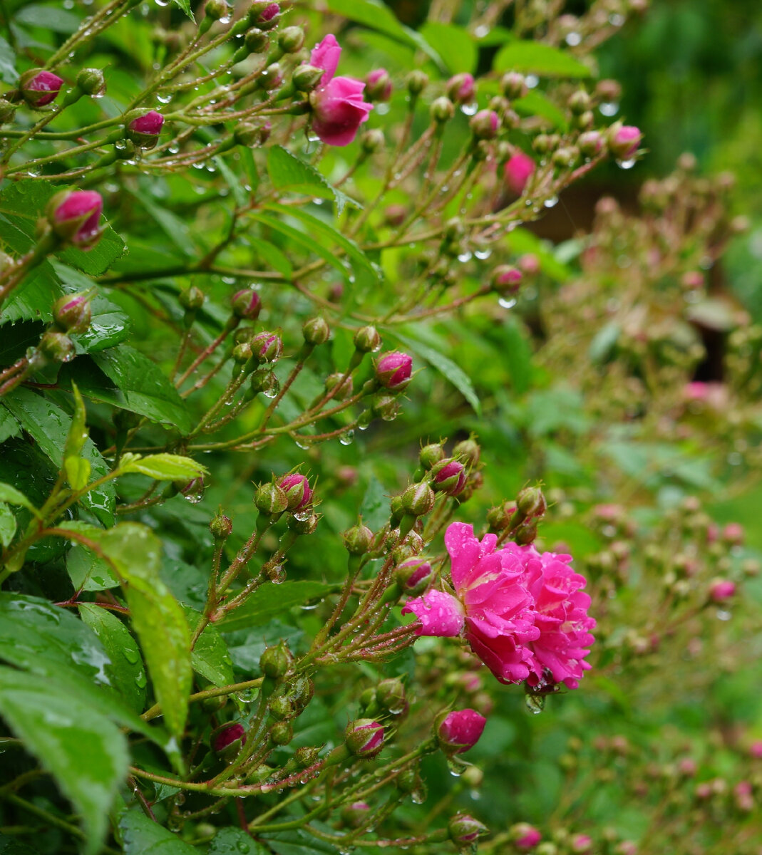 2 июня 2021г. Время 13:04