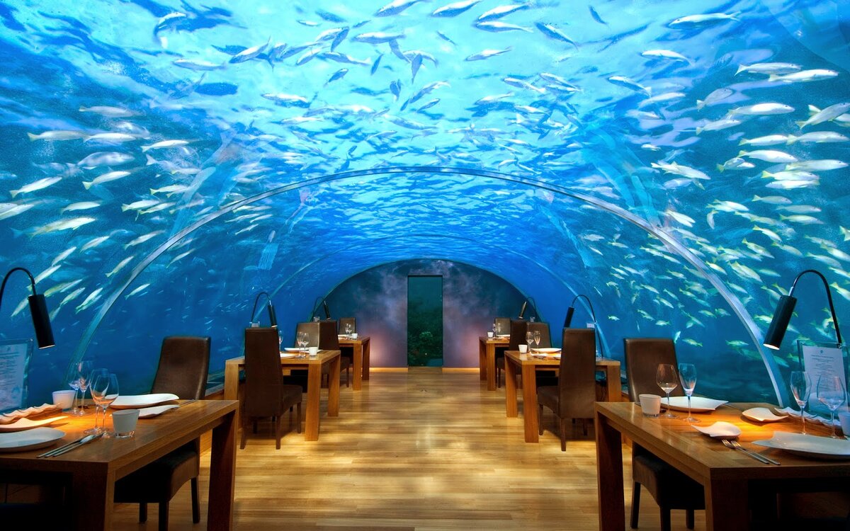 http://3.bp.blogspot.com/-A8OSbkgqbcE/U3PIOJxSwcI/AAAAAAAAGVk/xvI7_o4OqOA/s1600/Conrad-Underwater-Restaurant-Maldives.jpg