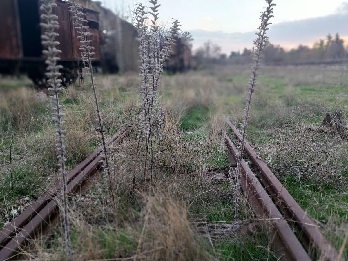 остатки железнодорожных путей