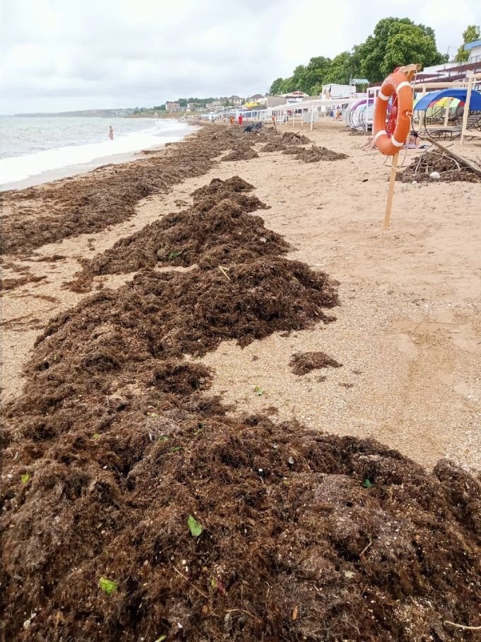 Последствия непогоды на севастопольском пляже "Учкуевка". Источник: vk.com/ohsev