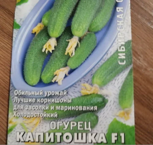 ✿ Огурец Капитошка F1 (12 шт.) купить за 45 руб, доставка почтой, оплата при пол