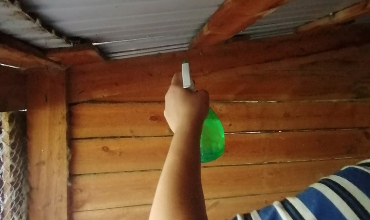 Обработка вольеров