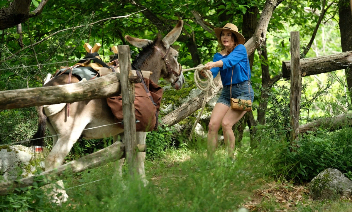 Кадр из свободных источников «Ослик, любовник и я» (2020)