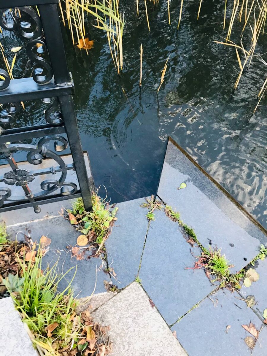 Все фото от 16.10.2021г.