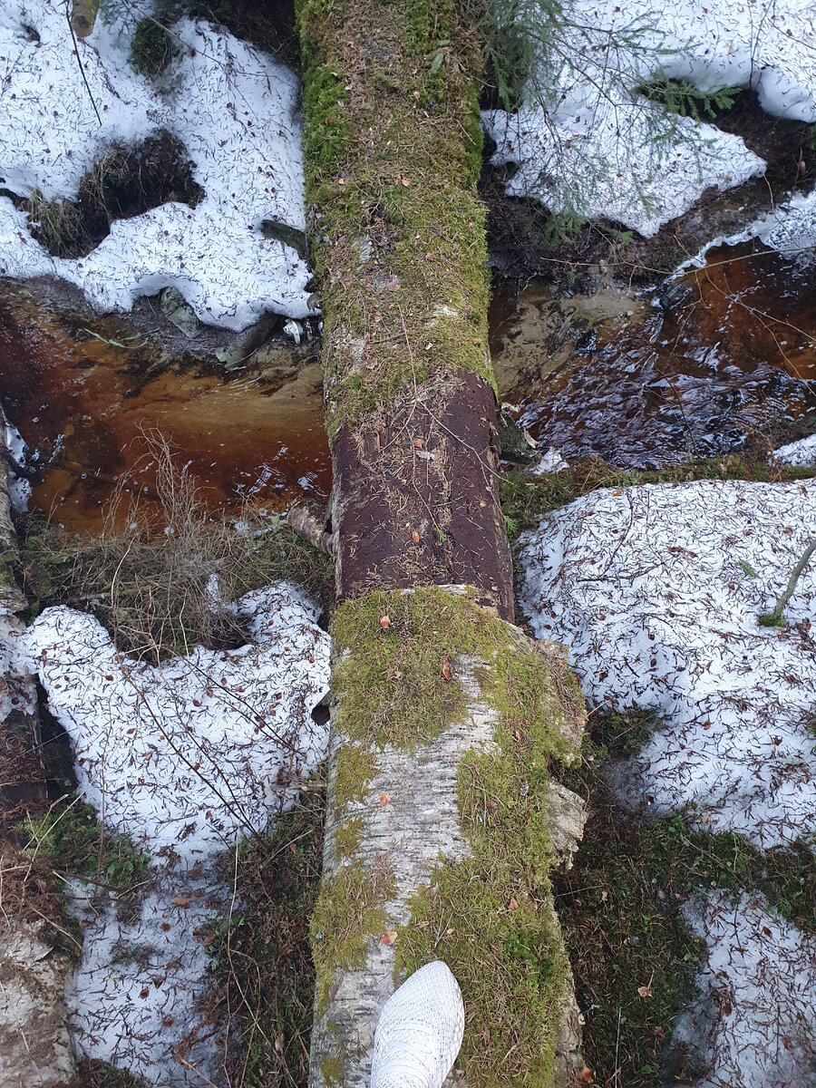 Две стороны одного полена