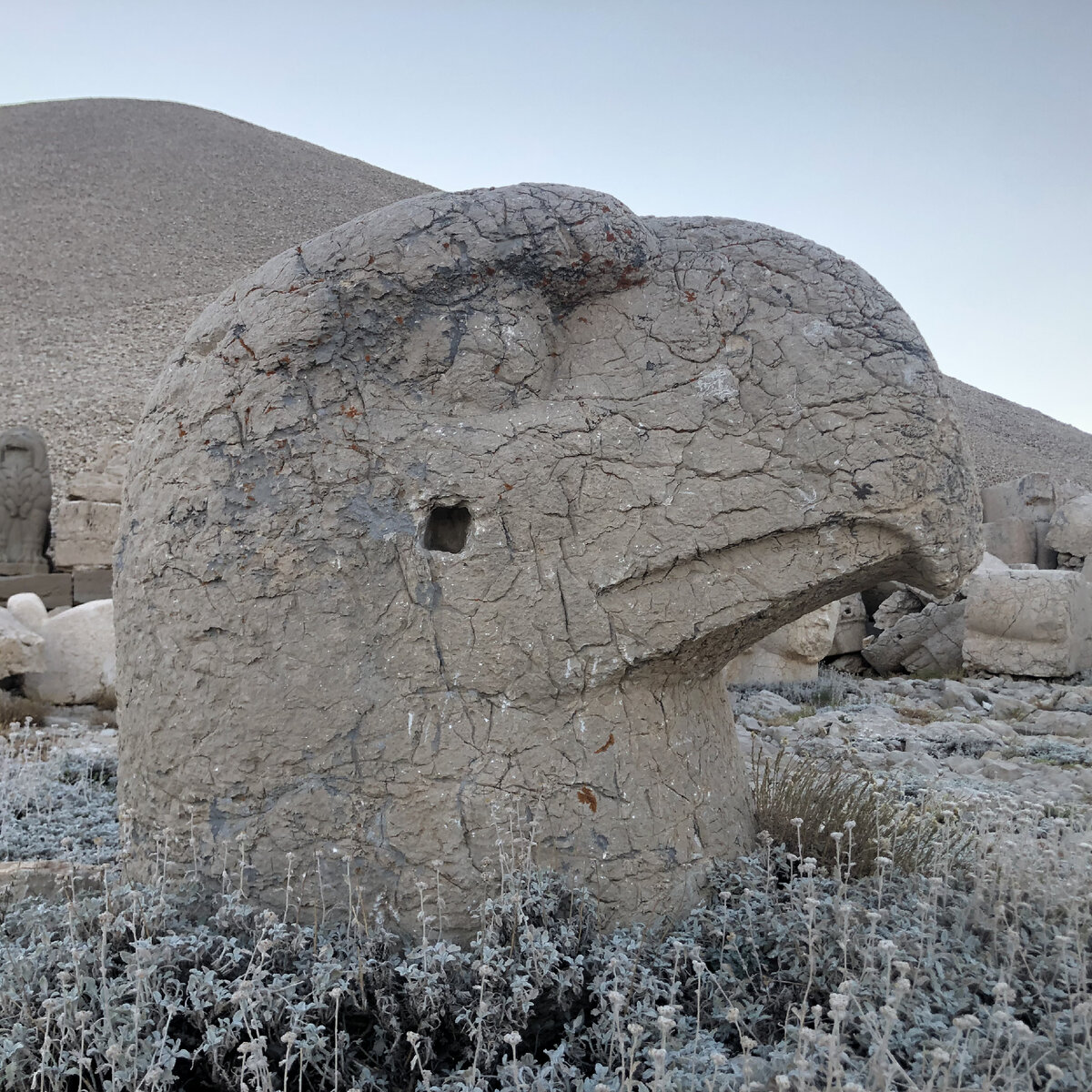 Символ силы неба - орел - ждет вас в гости!