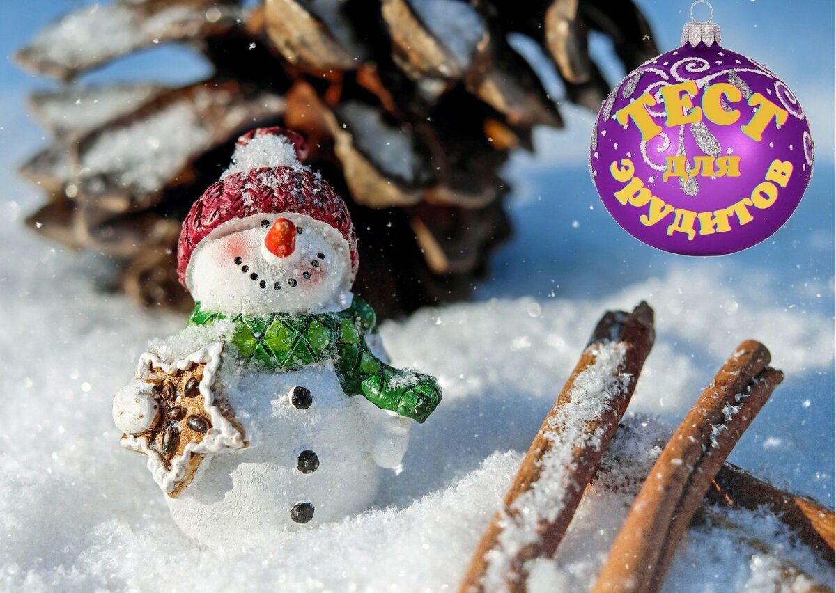 Источник изображения: pixabay.com, дизайн автора публикации