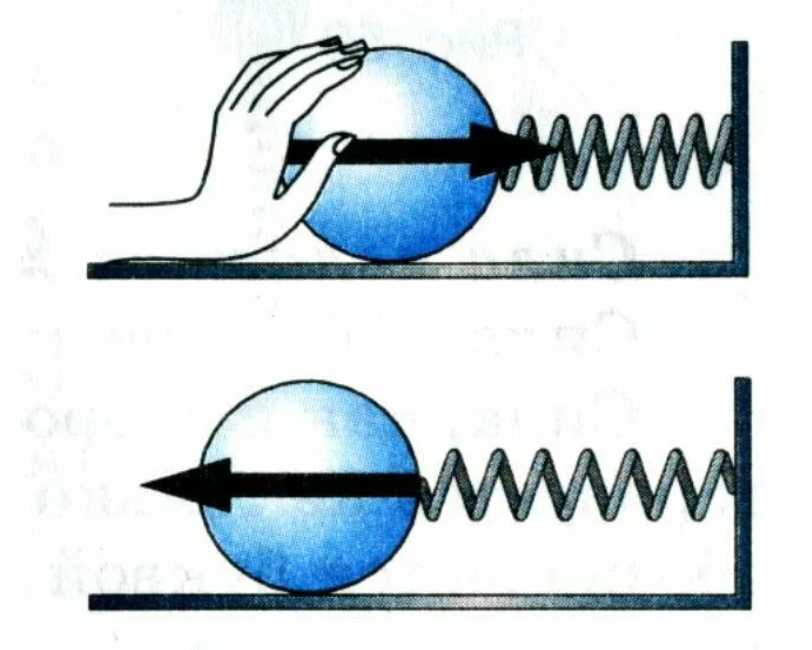 Шар на пружине. Сила упругости по физике. Сила упрости по физике. Сила упругости иллюстрация. Изображение силы упругости.