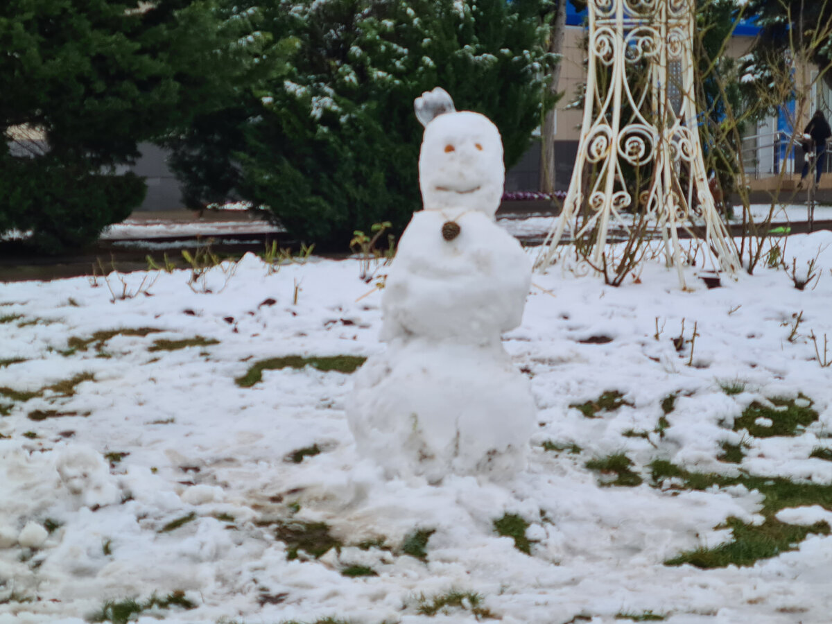 Гордость матушки-зимы
