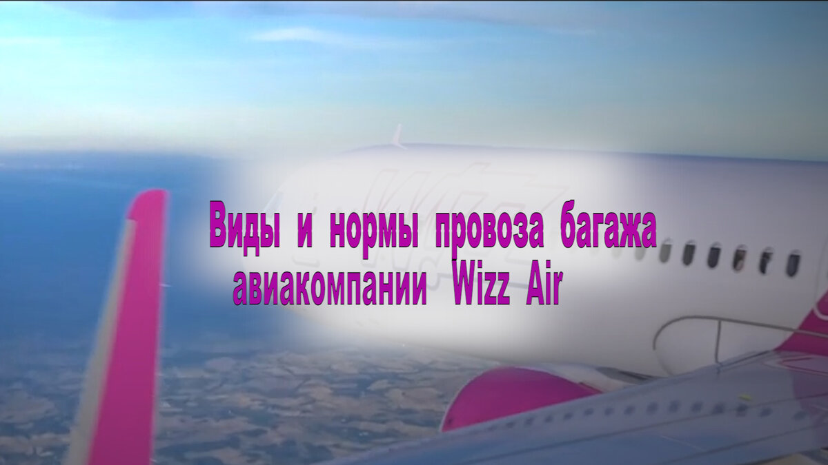 Wizz Air. Виды и нормы провоза багажа. | Лектор Wizz | Дзен