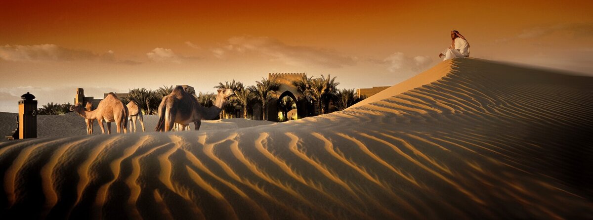 Фото с сайта: https://static.tildacdn.com/tild3438-3331-4437-a632-633366666636/5.jpg