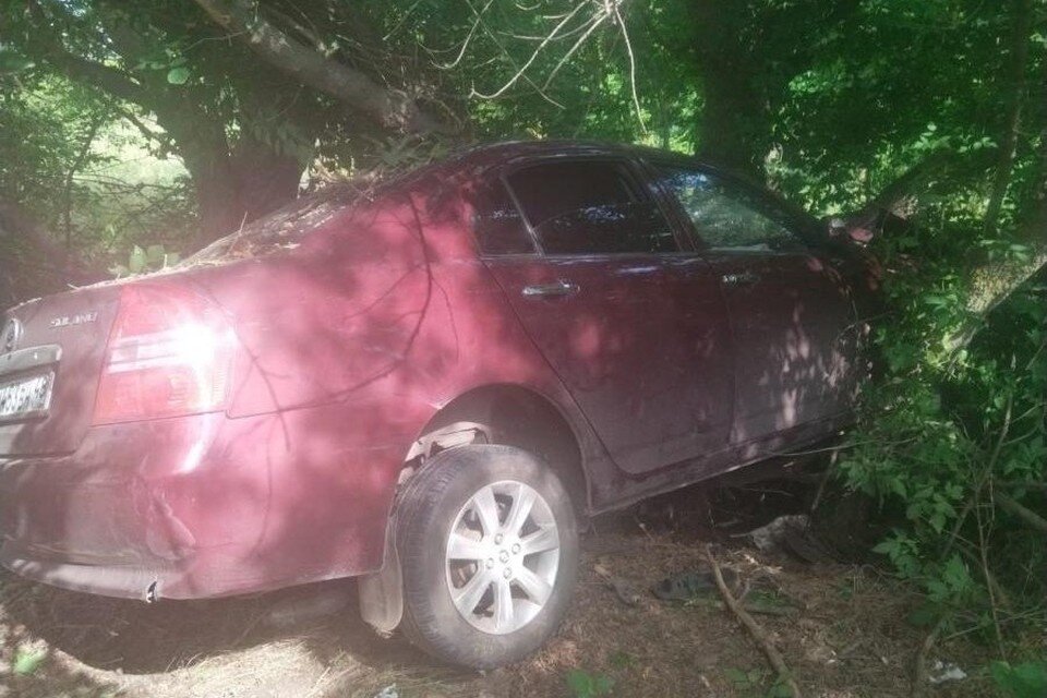     Под Липецком иномарка врезалась в дерево  Пресс-служба ГИБДД Липецкой области.