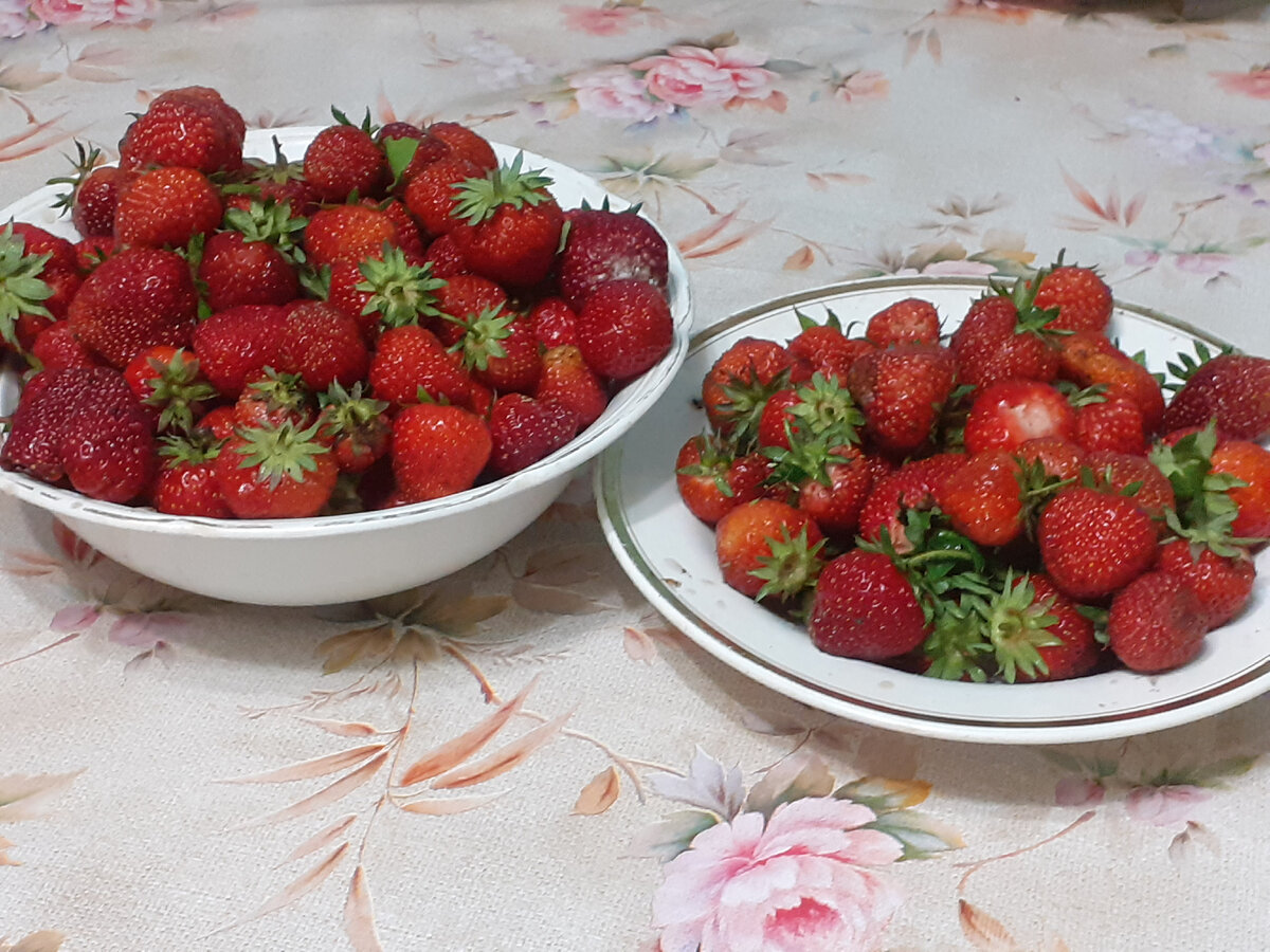 Моя клубничка