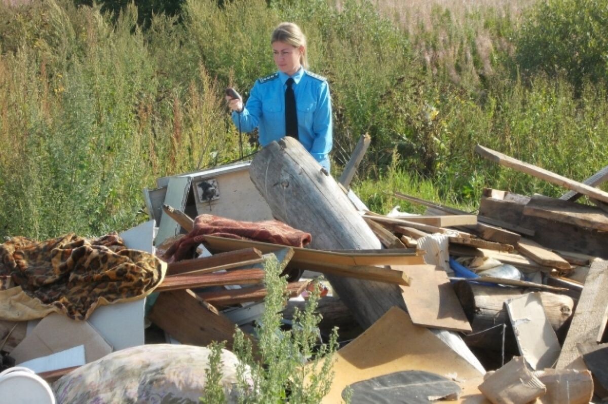    В Тверской области на сельхозземлях выросла свалка высотой в 1,5 метра