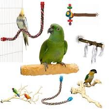 Жердочки для попугаев