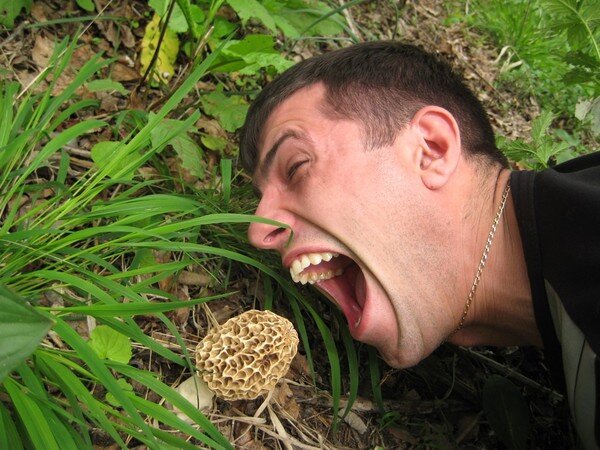 фото из интернета.сын старичка в лесу.