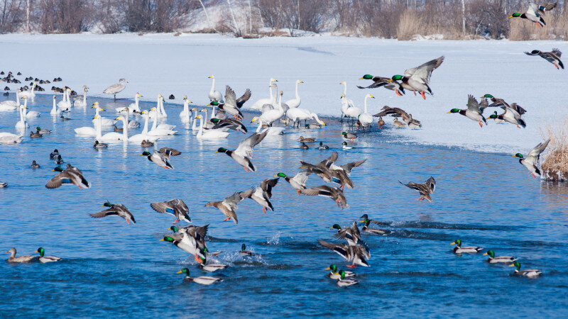     Октябрьская фотоподборка altapress.ru. altapress.ru.