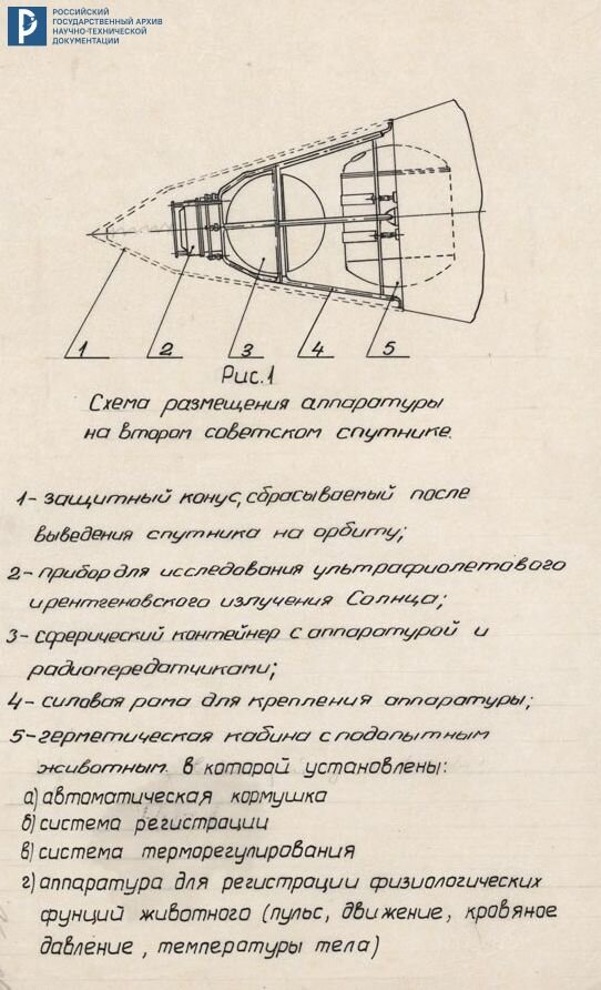 Схема размещения аппаратуры на втором искусственном спутнике Земли. [1957 г.]. Подлинник. Калька. РГАНТД. Ф. 107. Оп. 4. Д. 3  