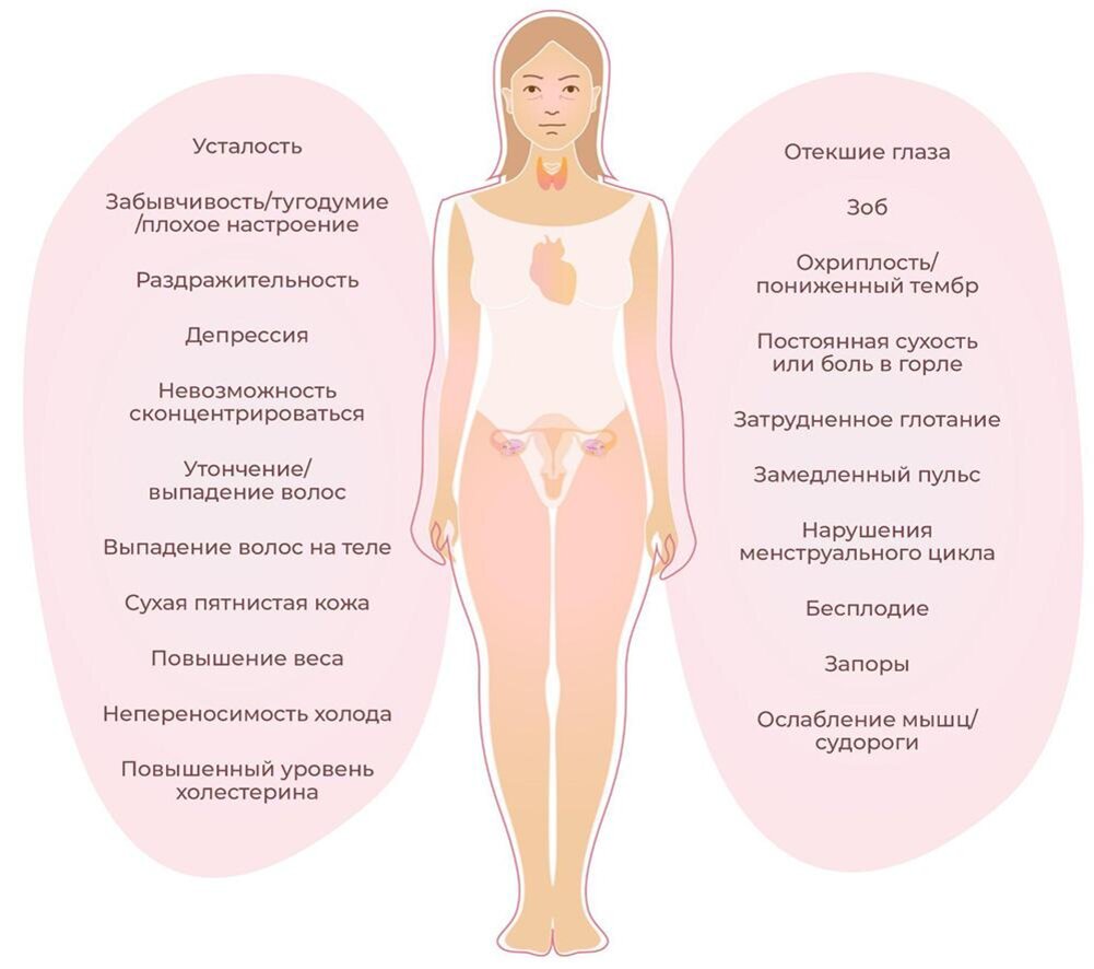 Виды УЗИ, которые нужно делать ежегодно | Evolutis Clinic | Дзен