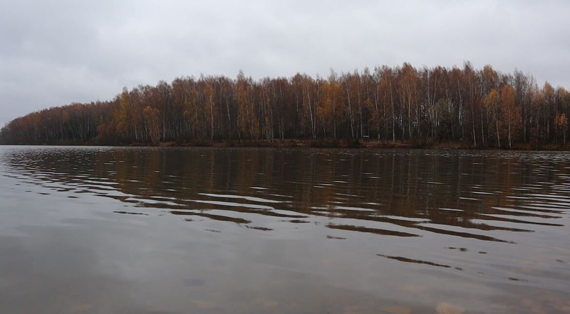 Водоем в ноябре.