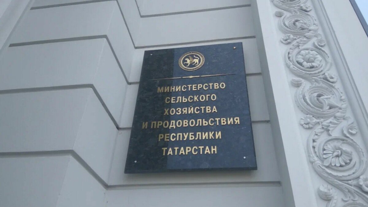    В Татарстане председателя сельхозкооператива обвинили в мошенничестве с грантами министерства сельского хозяйства и продовольствия РТ. Он получил более 20 млн рублей, но потратил их на личные цели. Об этом сообщили в пресс-службе следственного комитета РТ.