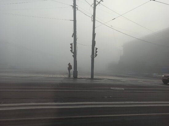     Фото: МК на Дону.