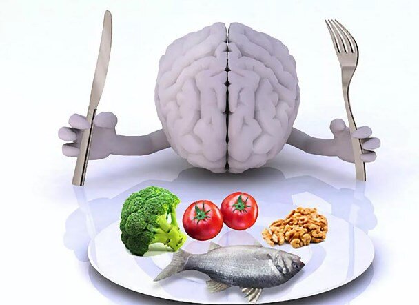 пища для мозга