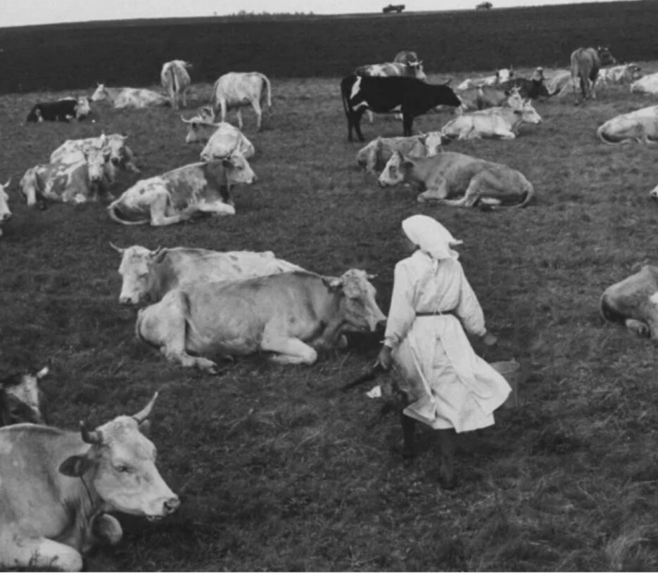 Картинка из доступных источников 