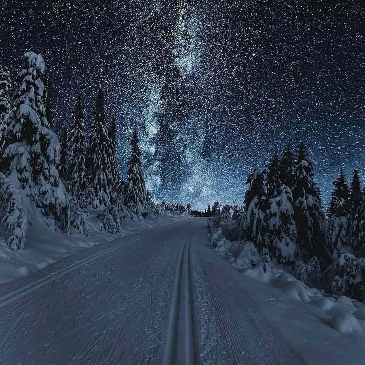 Декабрь и его самые длинные ночи.

