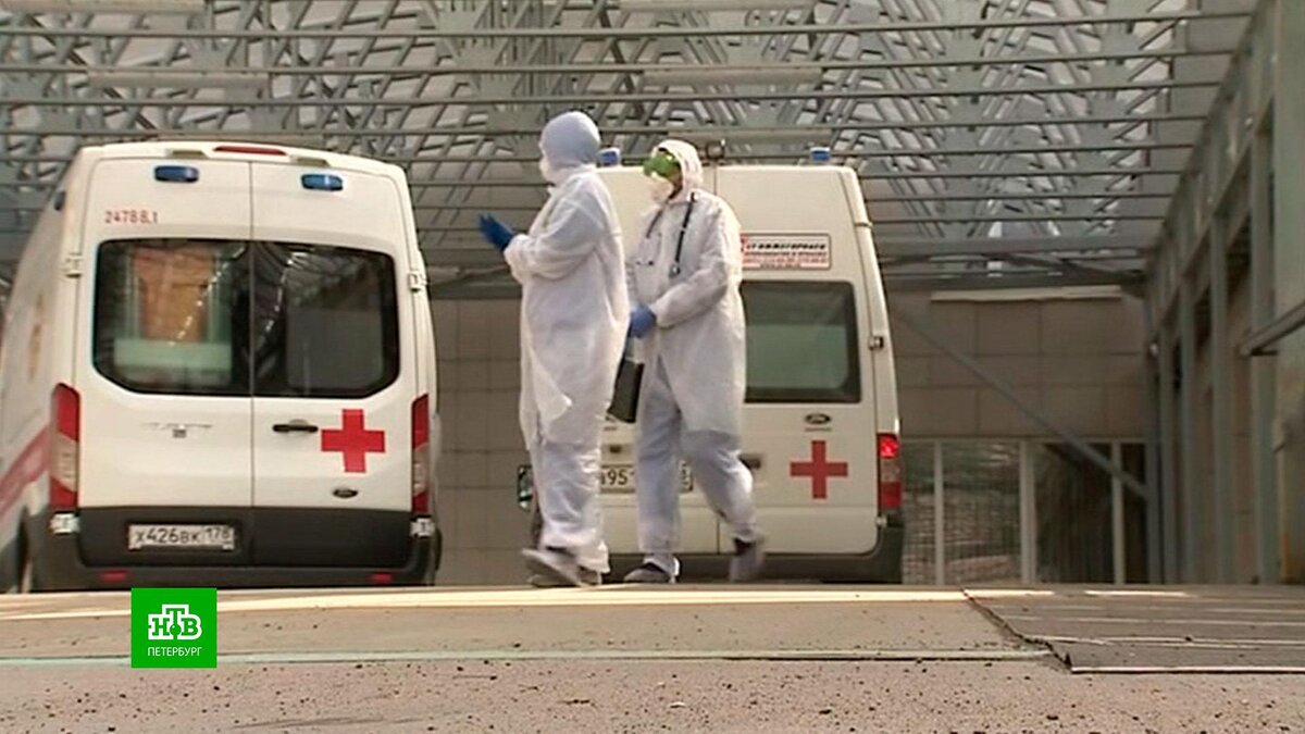 Фото предоставлено сайтом ntv.ru