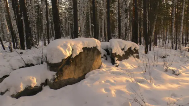 Ск. Шампольоны 279 м. N 56° 51.881', E 060° 21.048'
Поймали момент освещение оранжевым солнцем.