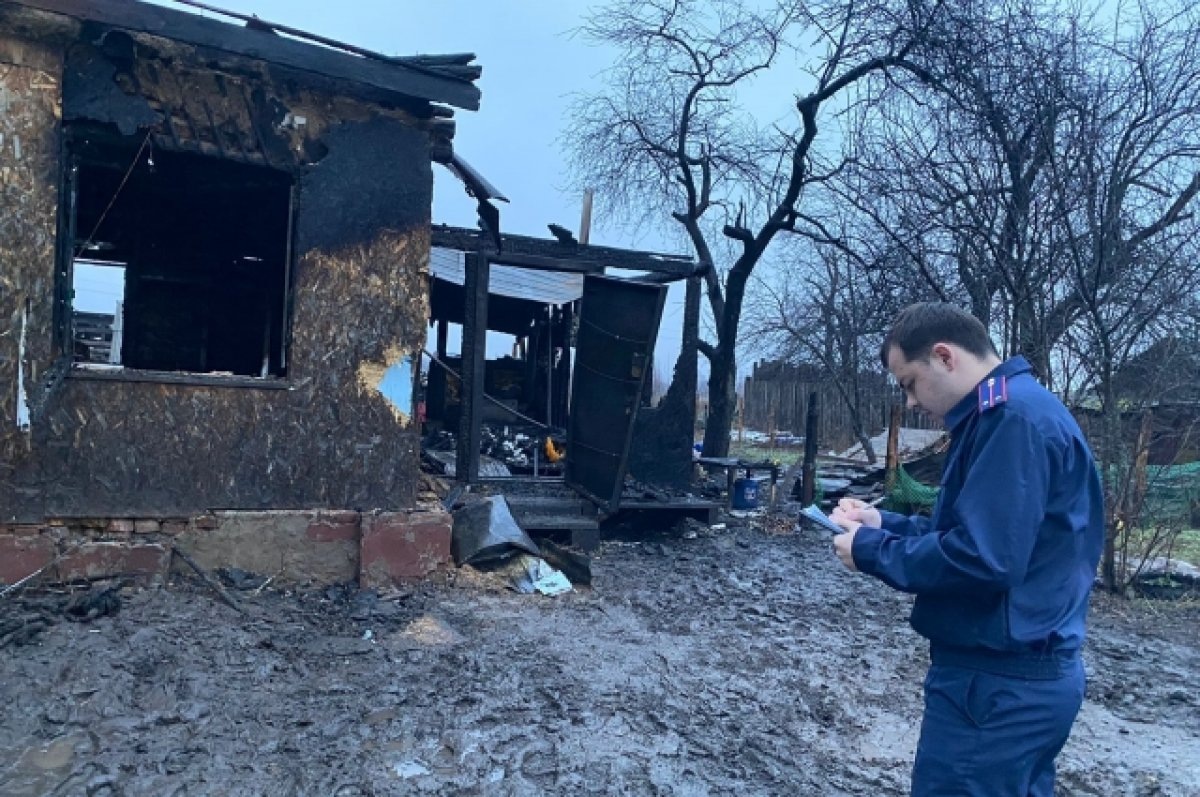    В воронежском селе Хреновое в ночном пожаре погибли дети трех и 11 лет