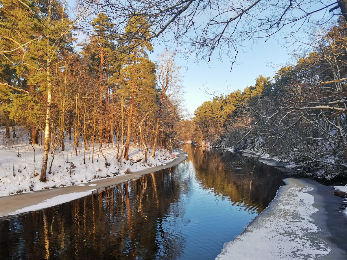Река Сестра. Все фото в статье - автора