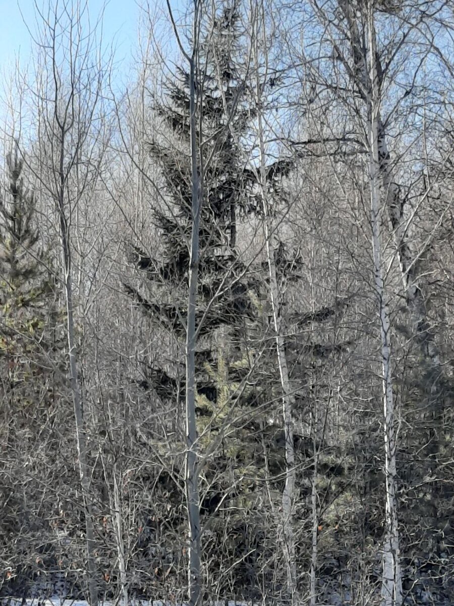 Фото автора.