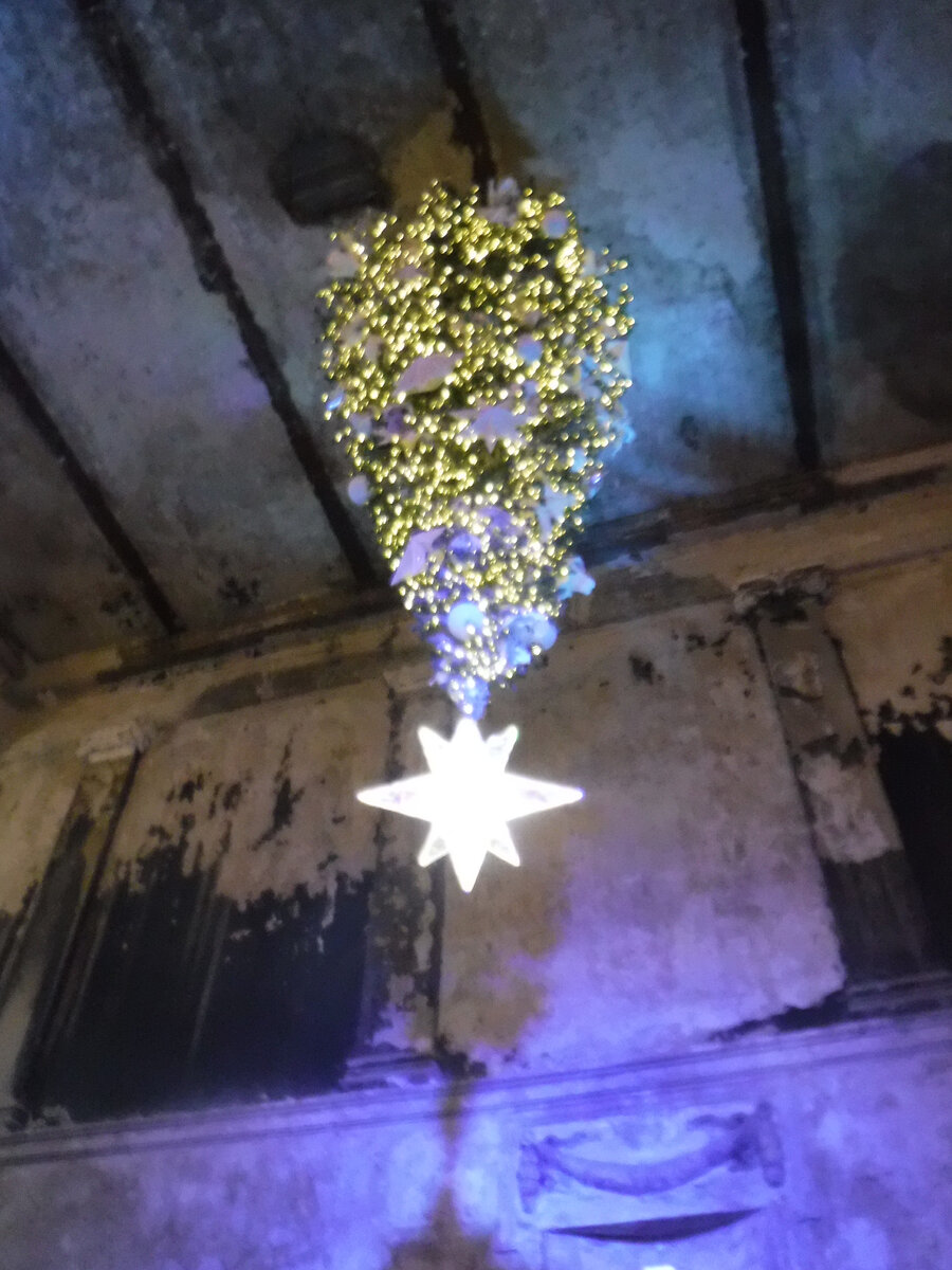 Ёлка верхушкой вниз.