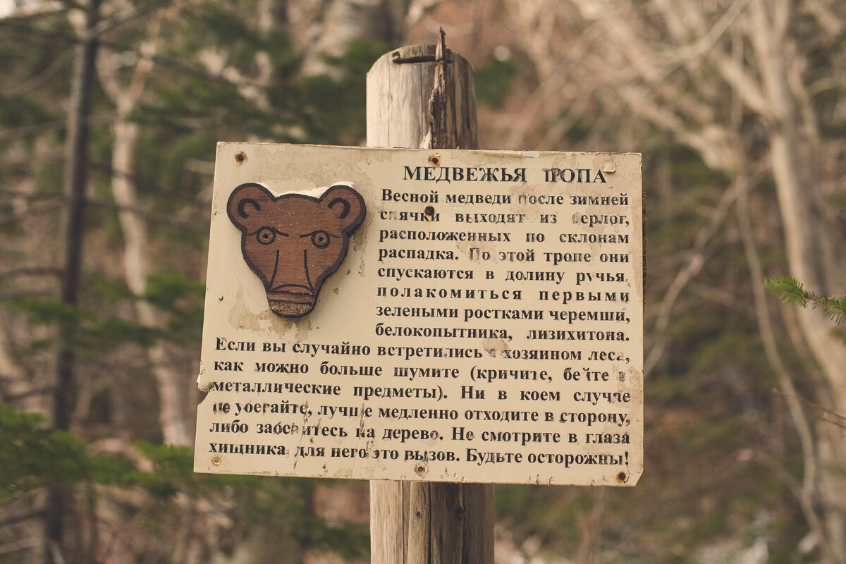 Медвежья тропа Переславль Залесский