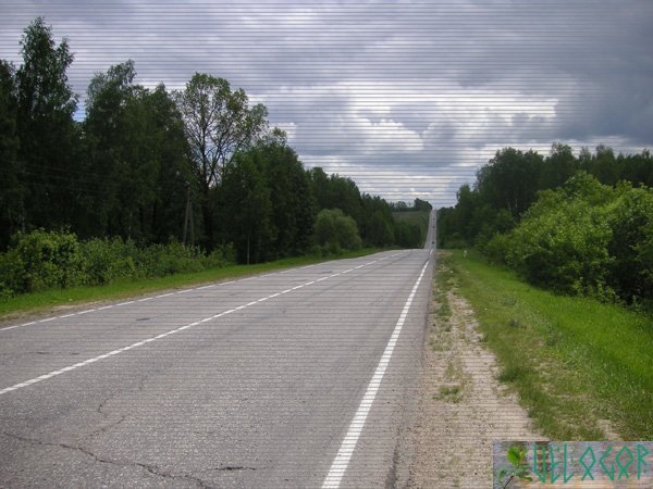 Дорога в Тулу. Иллюстрация к статье.