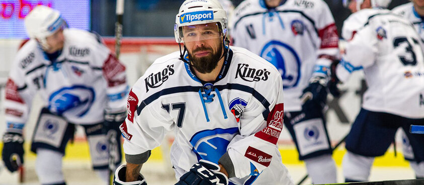 Яндекс картинки Милан Гулаш