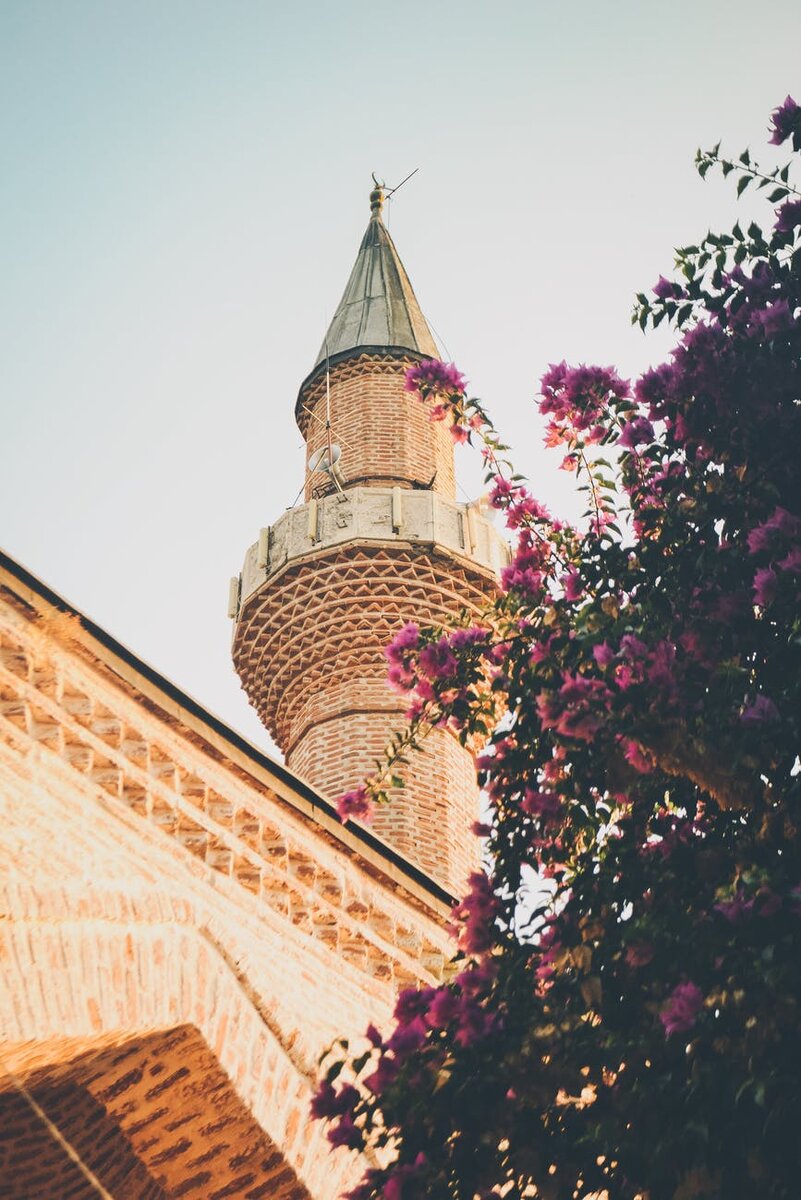 https://images.pexels.com/photos/2370933/pexels-photo-2370933.jpeg?cs=srgb&dl=pexels-2370933.jpg&fm=jpg