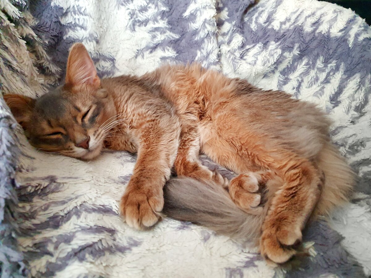 Вот так мы отходили от наркоза