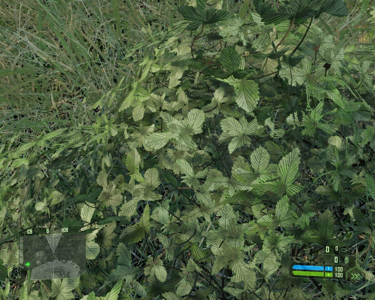 Обновленная текстура