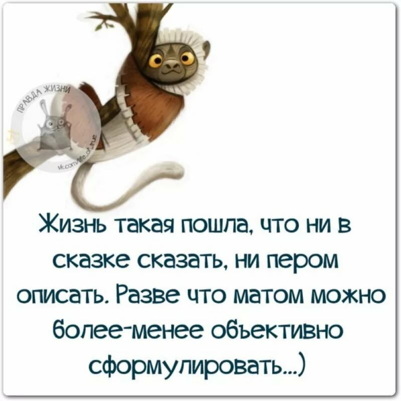 Фото из открытых источников.